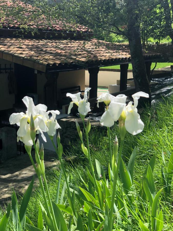 Casa Rural En Plena Naturaleza Lic Uvtr1524 Eguillor Dış mekan fotoğraf