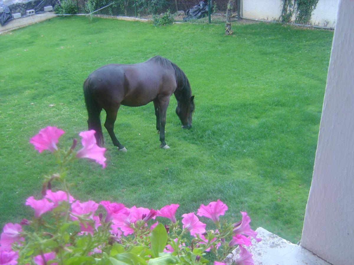 Casa Rural En Plena Naturaleza Lic Uvtr1524 Eguillor Dış mekan fotoğraf